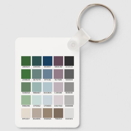 Kleurtest Sleutelhanger (Achterkant)