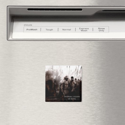 kleurtje magneet (Insitu (Vaatwasser))