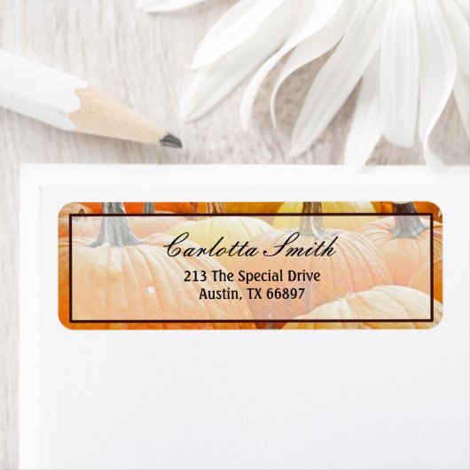 Kleurtoon van pompoenen etiket (Insitu)