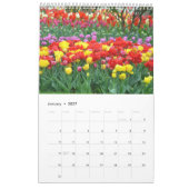 Kleurtulpen Kalender (Jan 2027)
