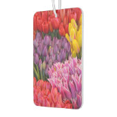 Kleurtulpen Luchtverfrisser (Links)