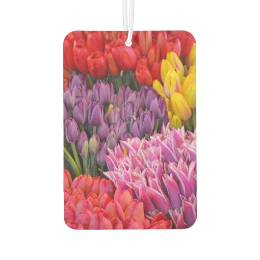 Kleurtulpen Luchtverfrisser (Achterkant)