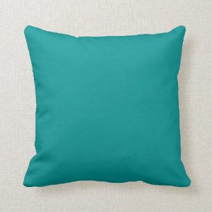 Kleurturquoise Kussen