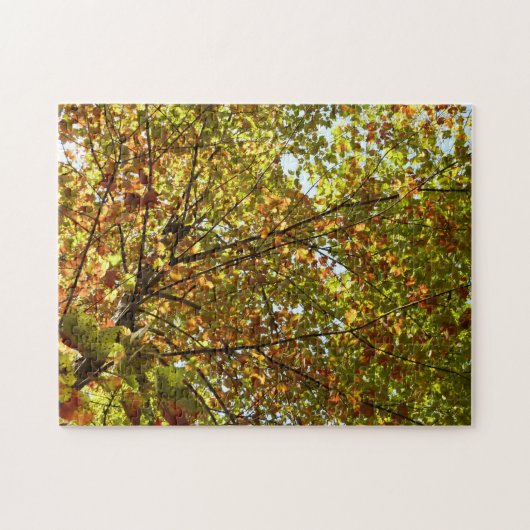 Kleurverandering van esdoorn van groen naar goud i legpuzzel (Horizontaal)