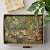 Kleurverandering van esdoorn van groen naar goud i tissuepapier (Geschenk)