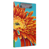 Kleurverbranding I Klembord (Rechts)