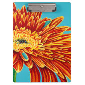 Kleurverbranding I Klembord (Voorkant)