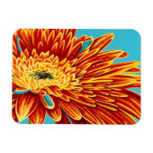 Kleurverbranding I Magneet (Horizontaal)