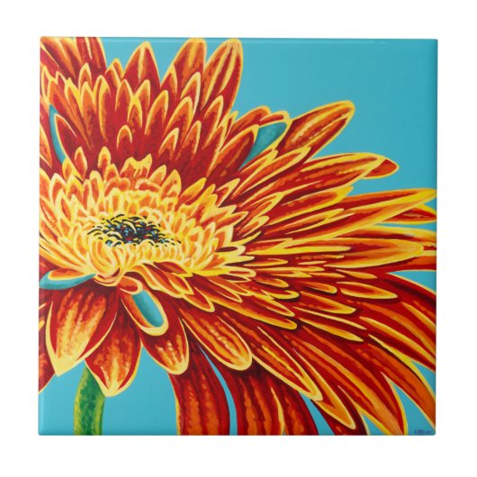 Kleurverbranding I Tegeltje (Voorkant)