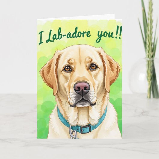 Kleurverloop Hond Patroon Kaart (Voorkant)
