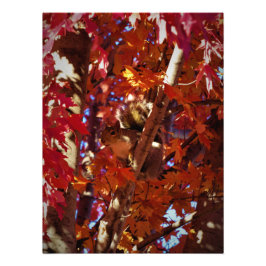 "Kleurverspreide ritter" Foto Afdruk