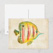 Kleurvis Briefkaart (Voorkant / Achterkant)