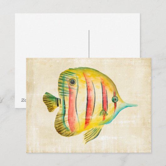 Kleurvis Briefkaart (Voorkant / Achterkant)