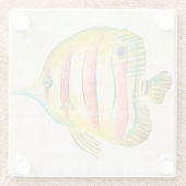 Kleurvis Glazen Onderzetter (Achterkant)