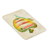 Kleurvis Magneet (Rechterzijde)