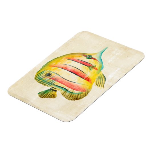 Kleurvis Magneet (Linkerzijde)