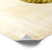 Kleurvis Poster (Hoek)