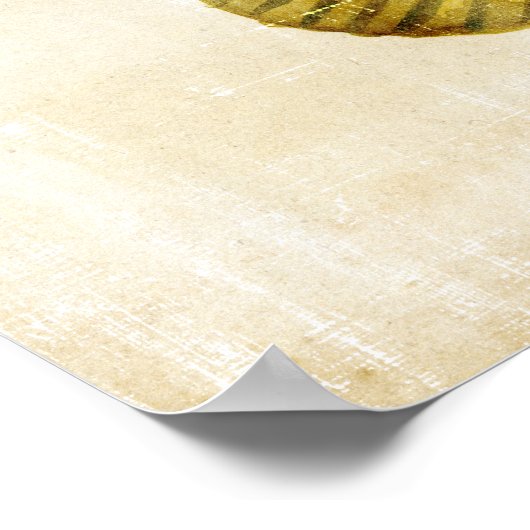 Kleurvis Poster (Hoek)