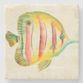 Kleurvis Stenen Onderzetter (Voorkant)