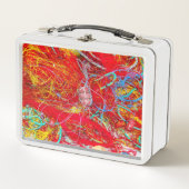 Kleurvisnetten (Voorkant)