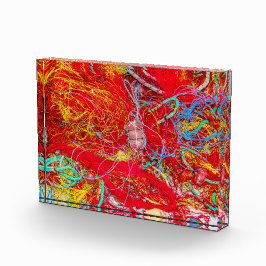 Kleurvisnetten Fotoblokken