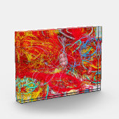 Kleurvisnetten Fotoblokken (Links)