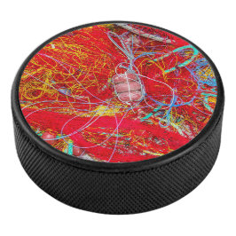 Kleurvisnetten Hockey Puck