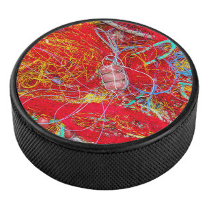Kleurvisnetten Hockey Puck