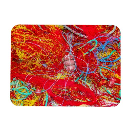 Kleurvisnetten Magneet (Horizontaal)