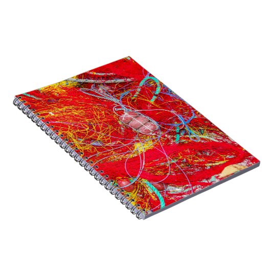 Kleurvisnetten Notitieboek (Rechterzijde)