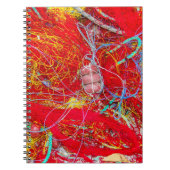 Kleurvisnetten Notitieboek (Voorkant)