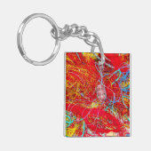 Kleurvisnetten Sleutelhanger (Voorkant Links)