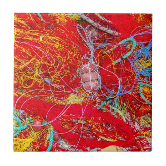 Kleurvisnetten Tegeltje (Voorkant)