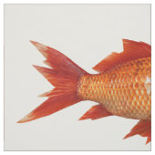 Kleurvisvet kwart stof (Swatch)