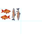 Kleurvisvet kwart stof (Delen)