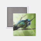 kleurvlieg magneet (Voorkant / Achterkant)