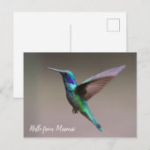 Kleurvogel - aangepaste staat briefkaart (Voorkant / Achterkant)