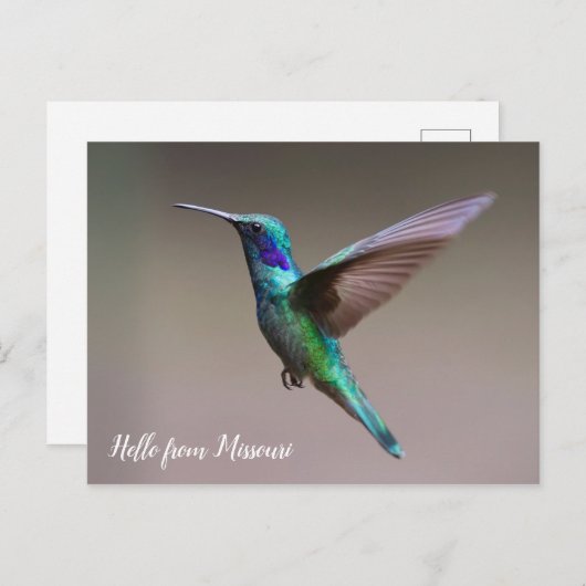 Kleurvogel - aangepaste staat briefkaart (Voorkant / Achterkant)