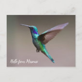 Kleurvogel - aangepaste staat briefkaart (Voorkant)