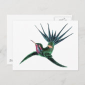 Kleurvogel Briefkaart (Voorkant / Achterkant)
