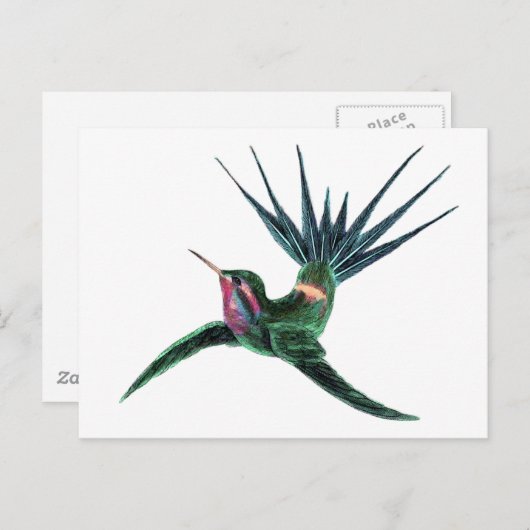 Kleurvogel Briefkaart (Voorkant / Achterkant)