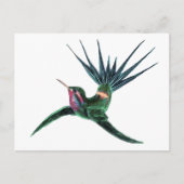 Kleurvogel Briefkaart (Voorkant)