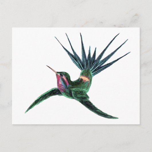 Kleurvogel Briefkaart (Voorkant)