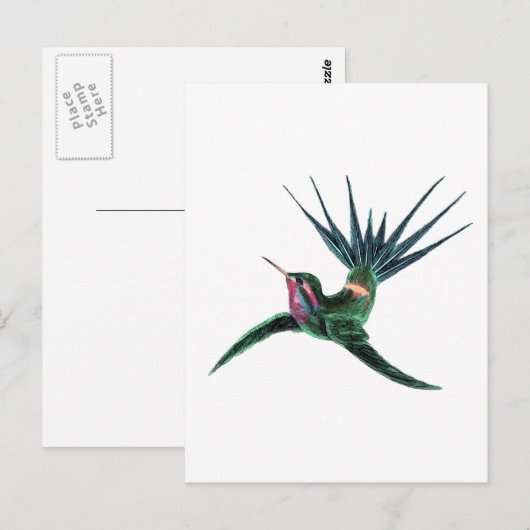 Kleurvogel Briefkaart (Voorkant / Achterkant)