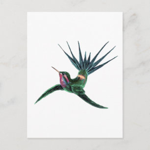 Kleurvogel Briefkaart