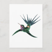 Kleurvogel Briefkaart (Voorkant)