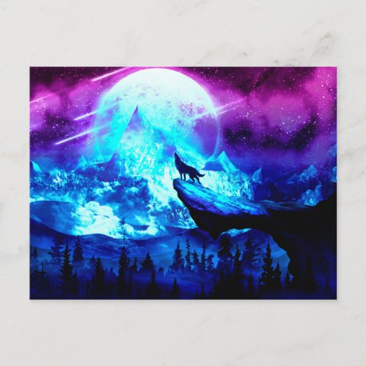 Kleurvogel Briefkaart (Voorkant)