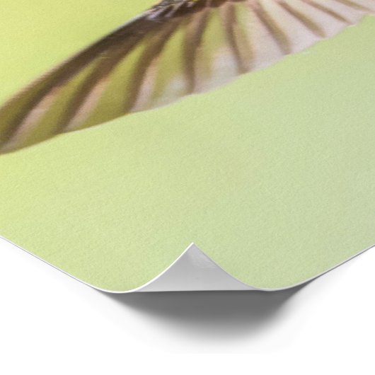 Kleurvogel die naar een ventilator vliegt poster (Hoek)