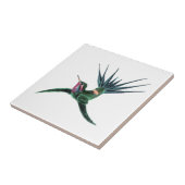 Kleurvogel Tegeltje (Zijkant)