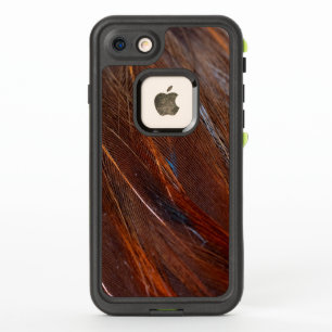 Kleurvolle Peacock Feather in detail